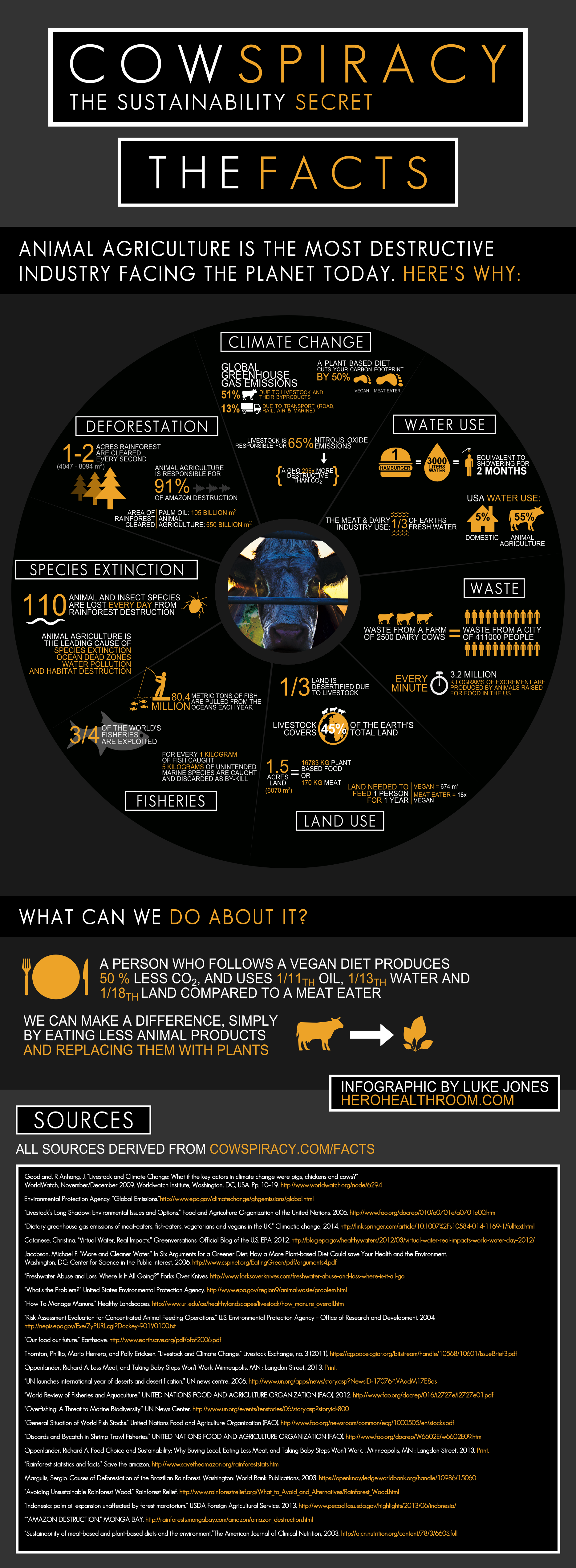 Cowspiracy-Infographic-Metric