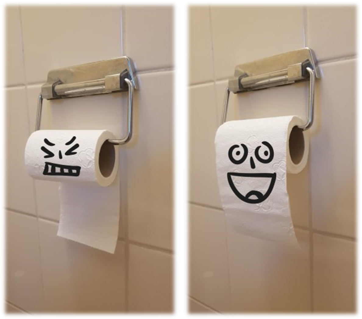 toiletrolophanging.png